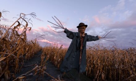 9 horrorfilm, ha a pároddal nem vagytok oda a romantikus filmekért 6. rész